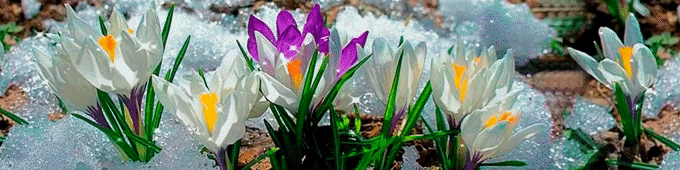 Баннер Весеннее_март 2025_Таня